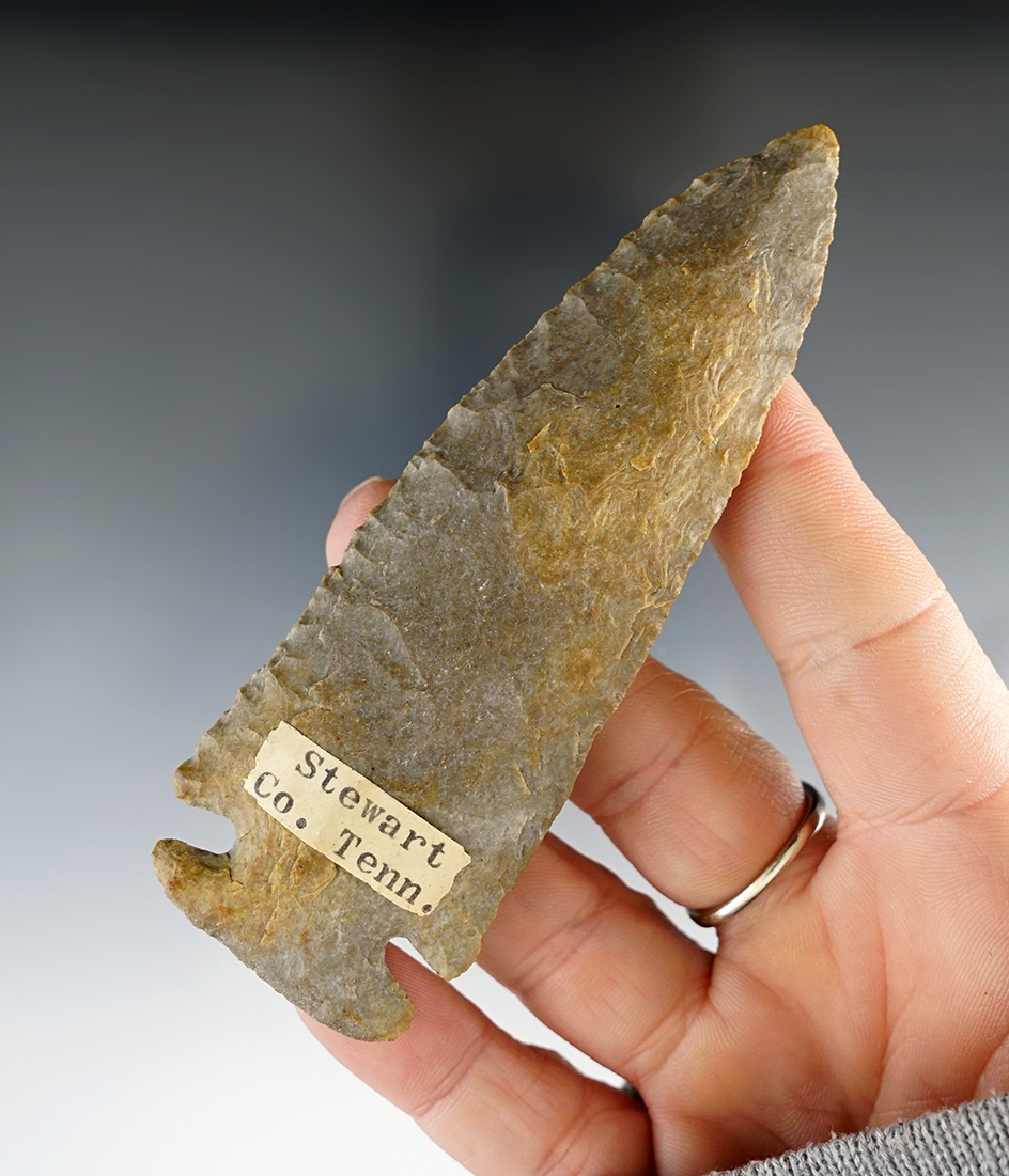 Exceptional 4 1/8" wide Base Dovetail found in Stewart Co., Tennessee.