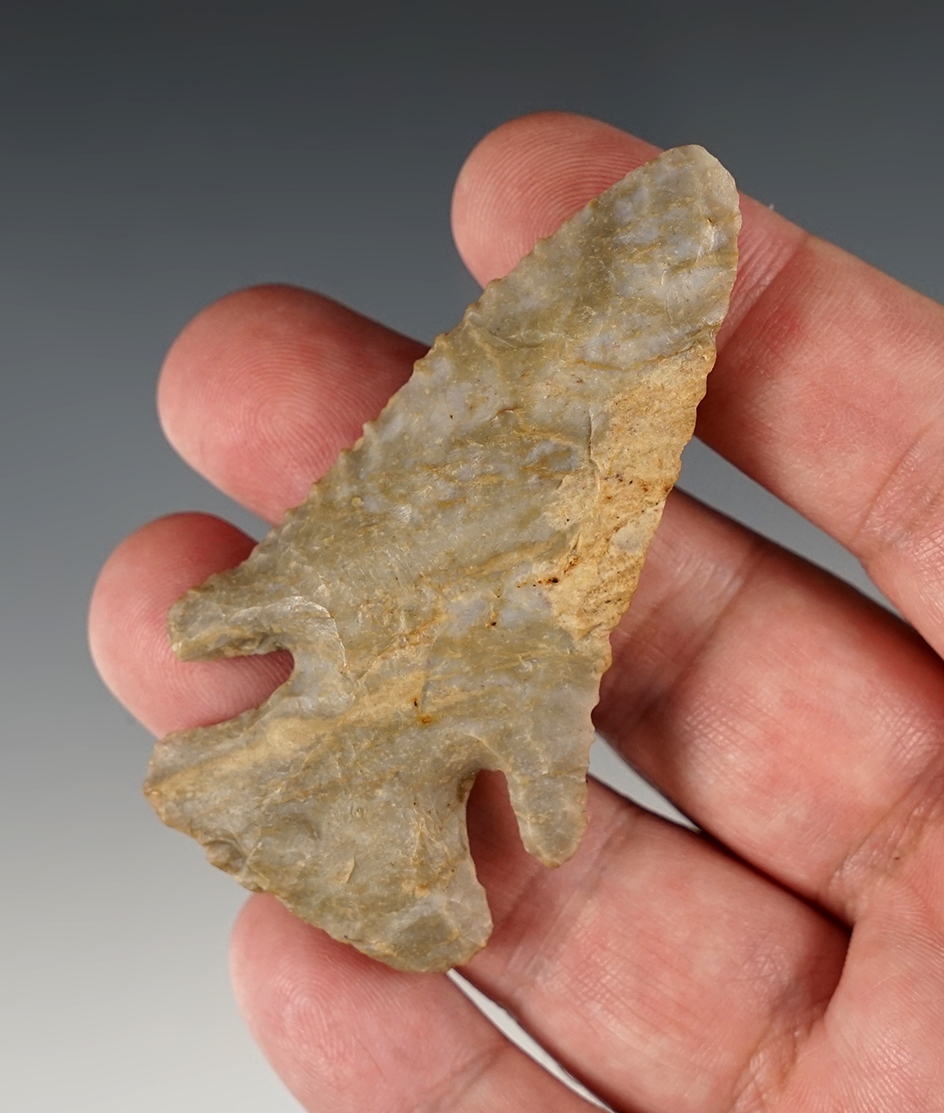 Nice 2 13/16" Archaic Beveled Thebes found in Kentucky.