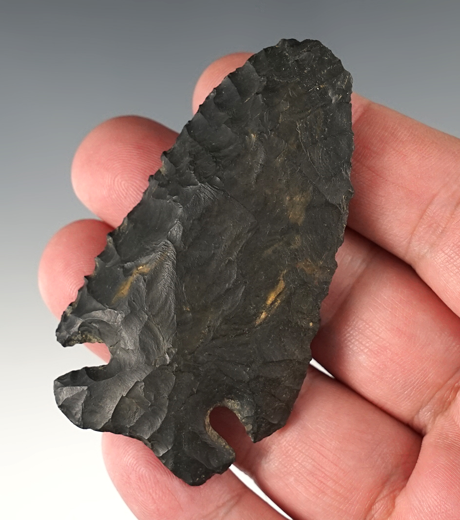 2 15/16" Archaic Thebes found in Marietta, Washington Co., Ohio by C. Cline.