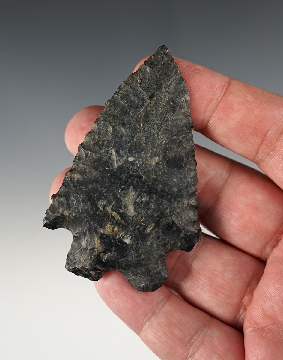 2 15/16" MacCorkle found in Knox County Ohio. Ex. Jim Hawks and Mel Wilkins.