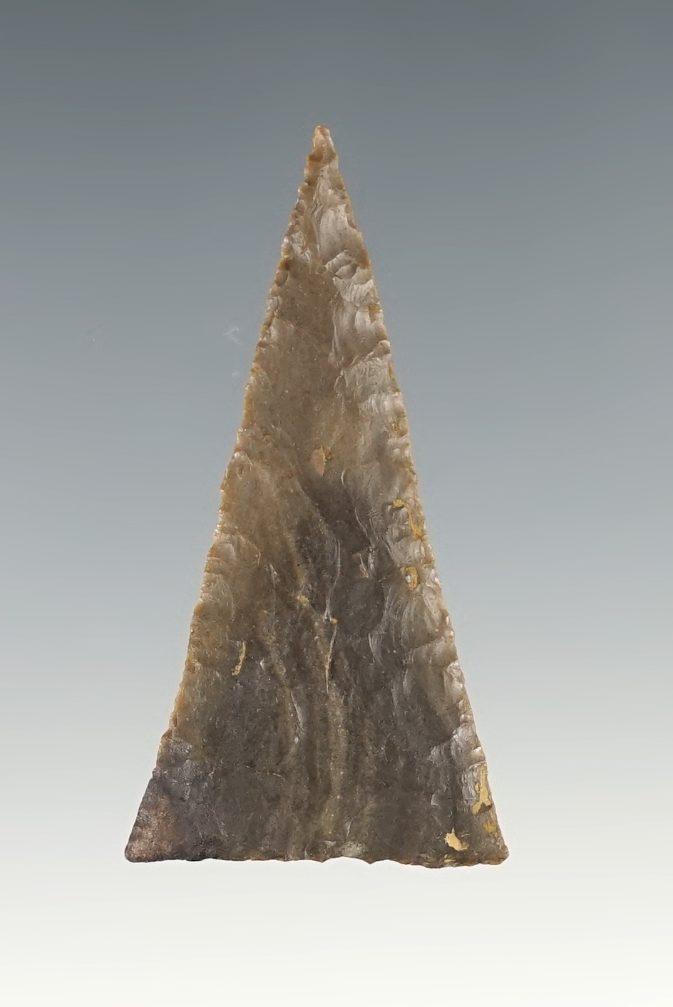 1 7/8" Madison Triangle found in Tennessee. One small spot of restoration.