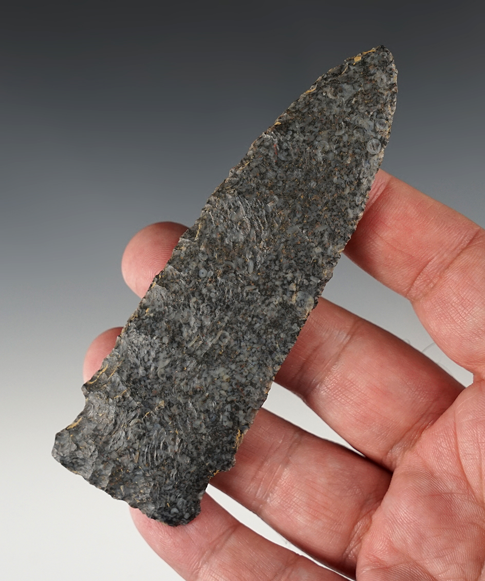 Fine Bakers Creek found by Roger Wright in Marion Co., Kentucky. Ex. Gary Noel.