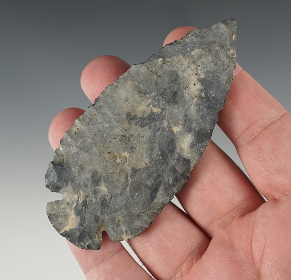 3 3/4" Coshocton Dovetail found in Tuscarawas Co., Ohio. Includes a Bennett COA.