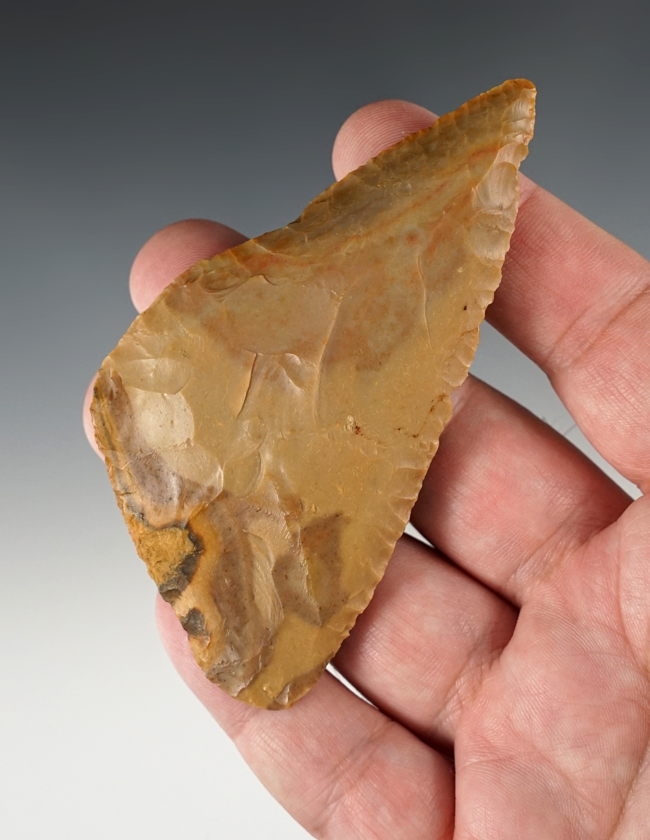 3 3/4" Highly colored Carter Cave Beveled Cobbs Blade. Found in Southern Ohio.