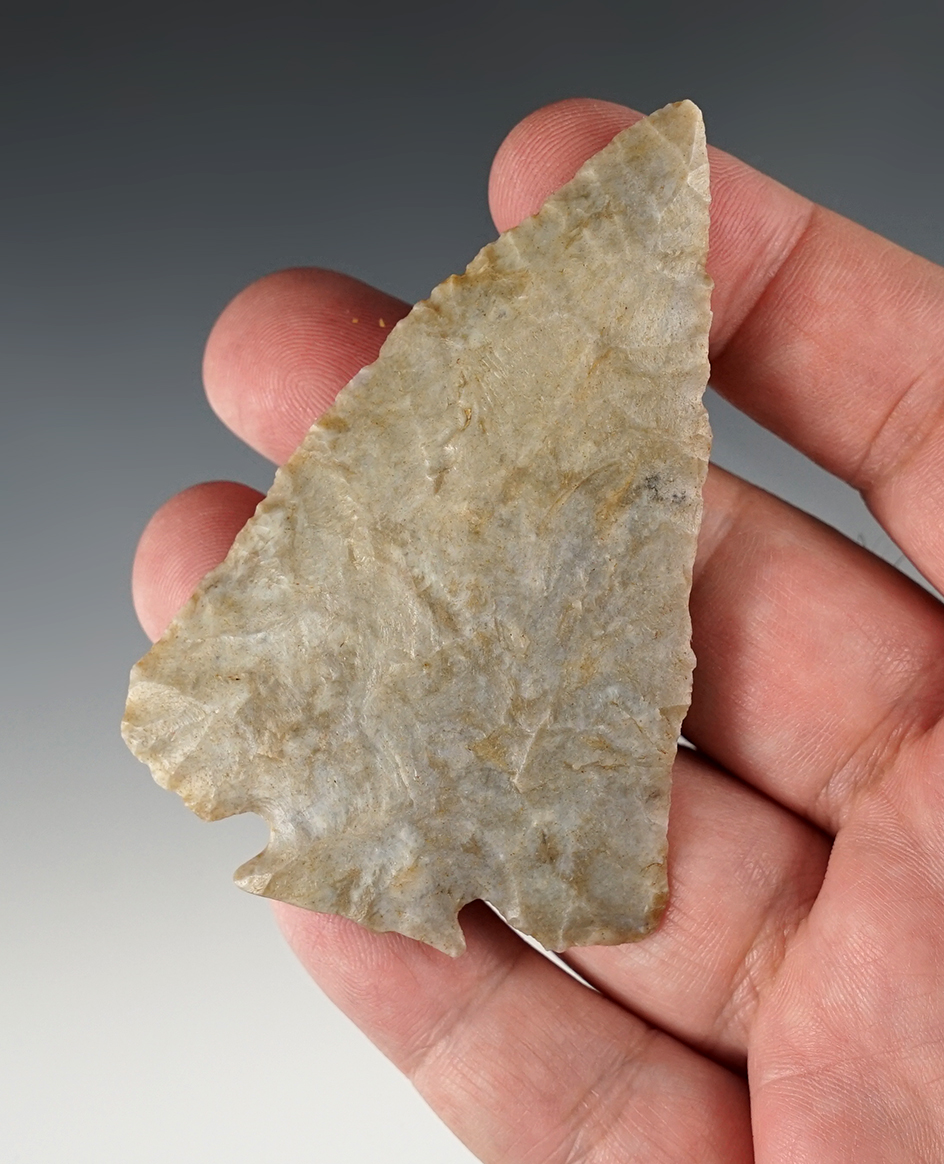 3 3/16" Coshocton Gray Decatur Fractured Base. Found in Stark Co., Ohio. COA.