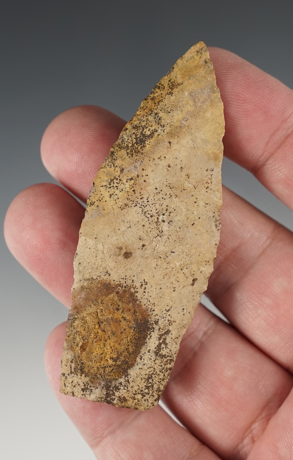 3" Paleo Lanceolate with excellent patina. Found in Marion Co., Ohio.