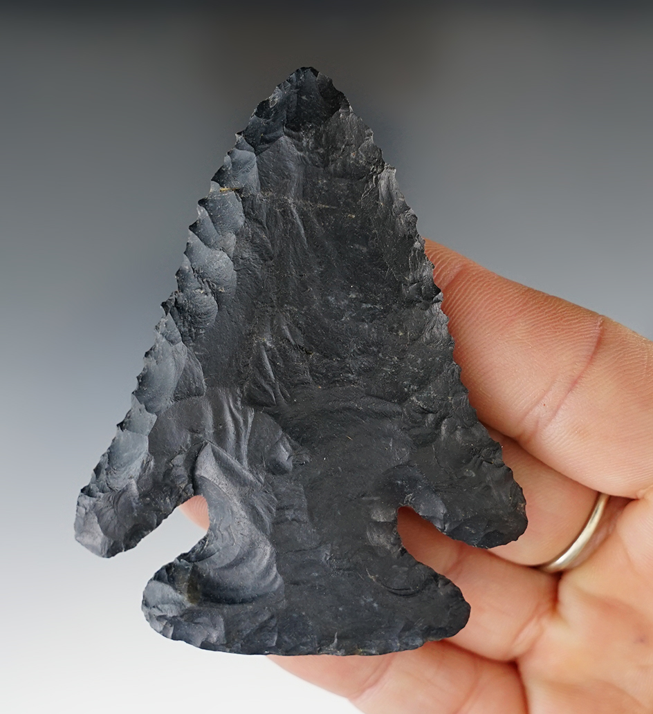 Superb 2 7/8" Thebes Deep Notch point. Found in Knox Co., Ohio. Pictured.