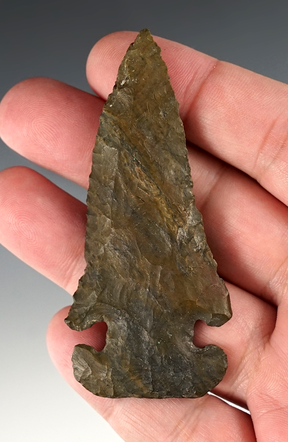 3 1/8" Thebes E-Notch found in Ohio . Pictured! Bennett COA.