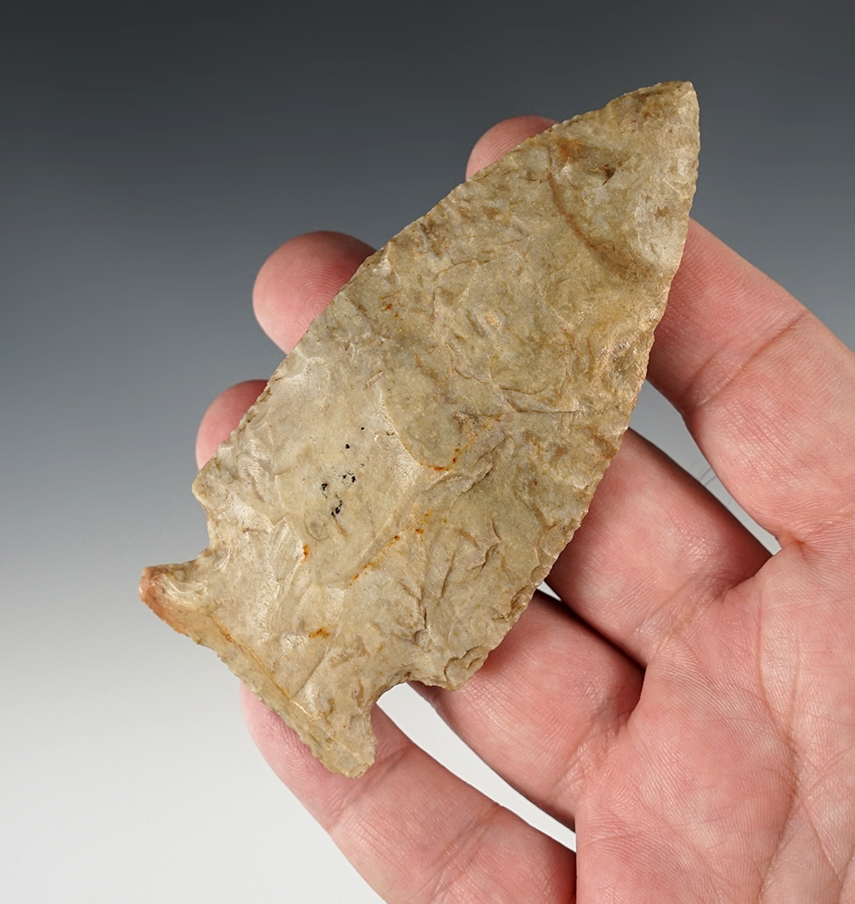 4" Large Coshocton Gray Fishspear Point with nice old patina, Fayette Co., Ohio.