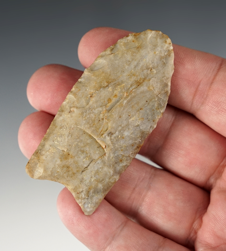 2 11/16" Paleo Fluted Clovis found in Miami Co., Tennessee. Partain COA.
