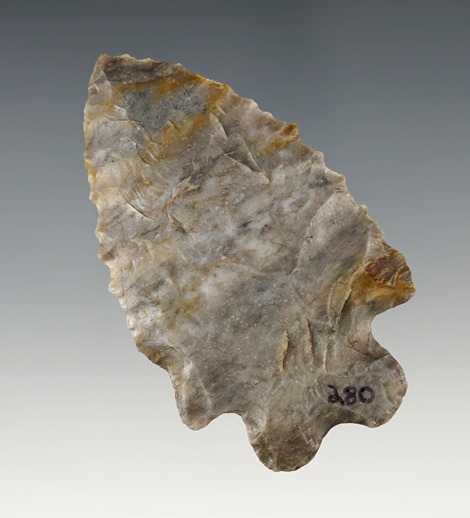 2 3/4" MacCorkle Bifurcate found in Tuscarawas Co., Ohio. Classic example.