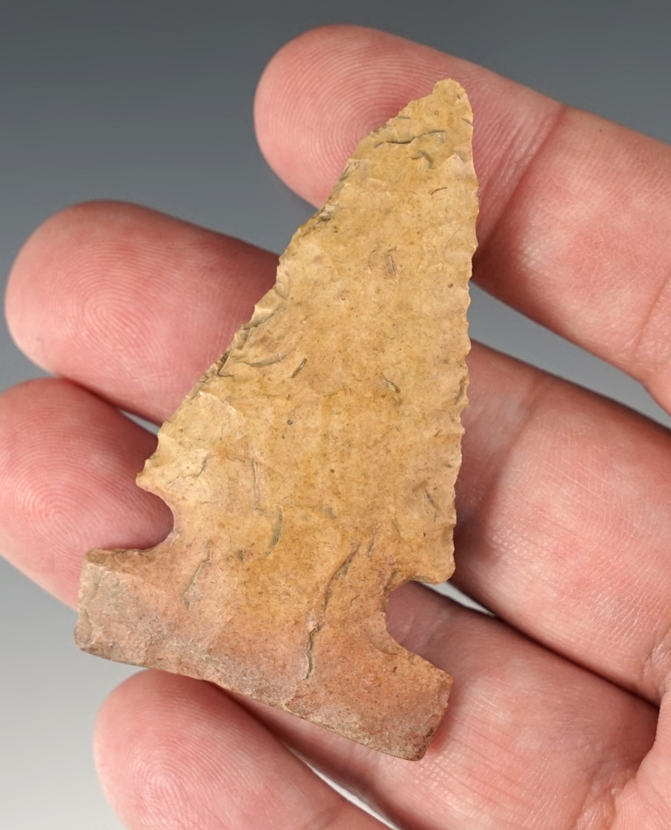 2 7/16" Archaic Side Notch found in Ohio made from nicely patinated flint.