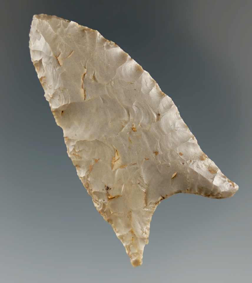 2 1/4" Paleo Quad made from Hornstone found in the Kentucky/Indiana area. Bennett COA.