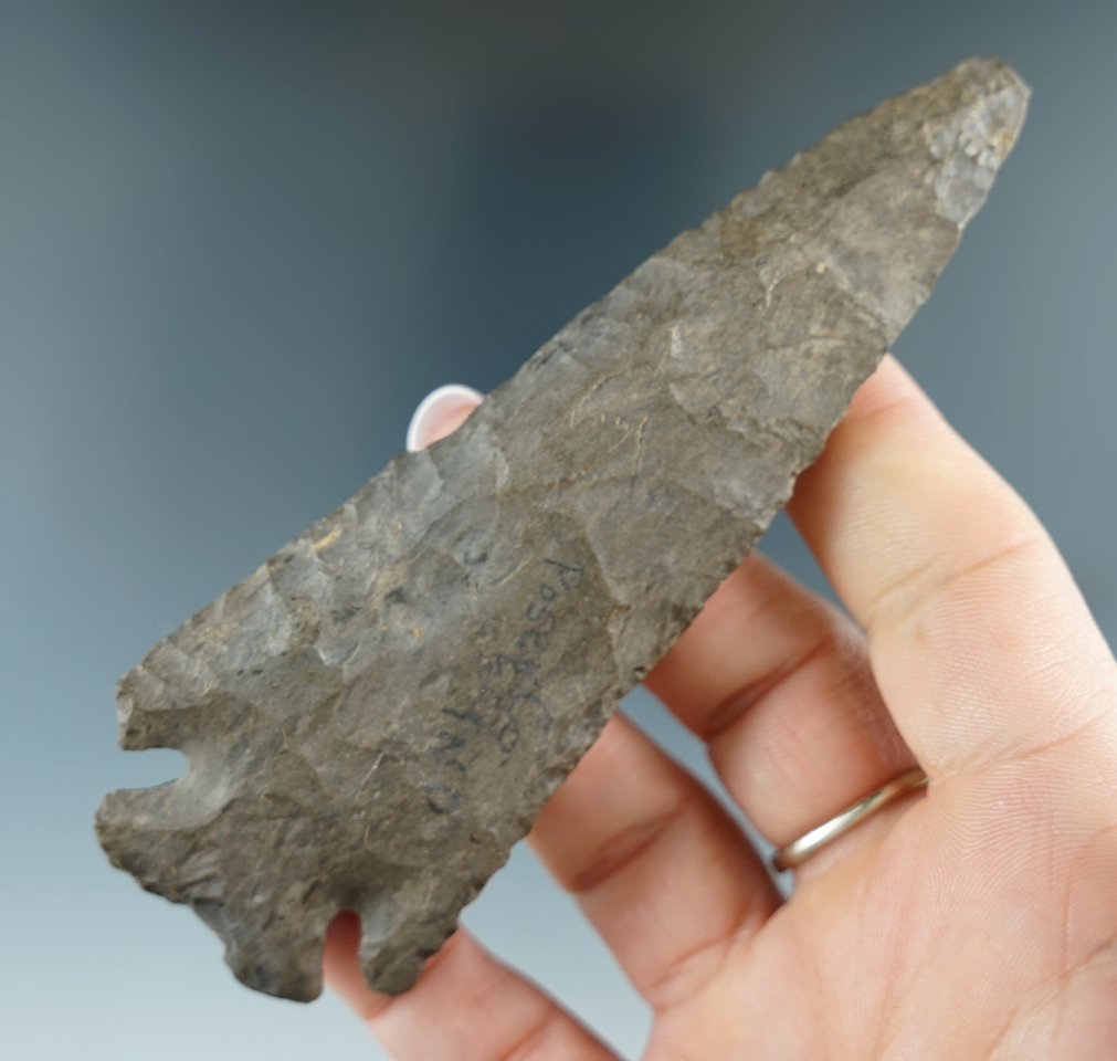 4 1/2" Dover flint Notched Base Dovetail with a nice bevel found in Posey Co., Indiana.