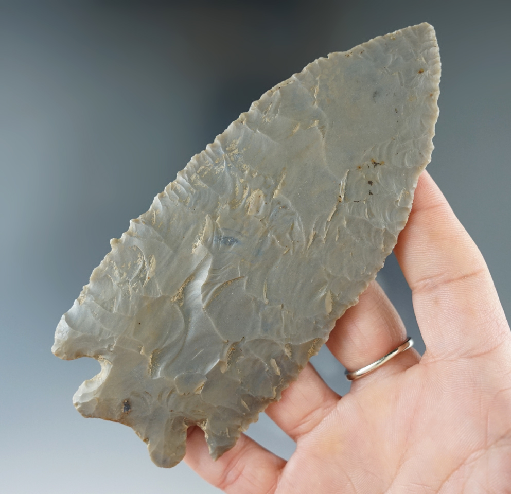 Sale highlight! Very large 5 1/16" Hornstone Bifurcate that is exceptionally thin and well flaked