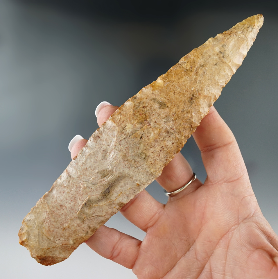 6 3/4" large and fine highly colored Burlington Archaic Blade. Ex. Edwards .Central Missouri.