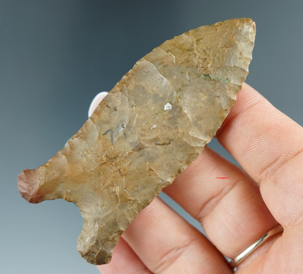 Excellent style 3 1/16" Paleo Quad  - Buffalo River chert - Robertson Co., Tennessee. Davis COA