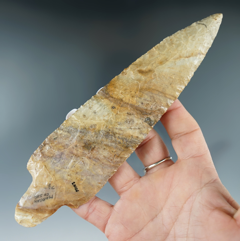 Exceptional! large 7 1/8" Mason- Morgan Co., Illinois. Comes with 4 COAs.