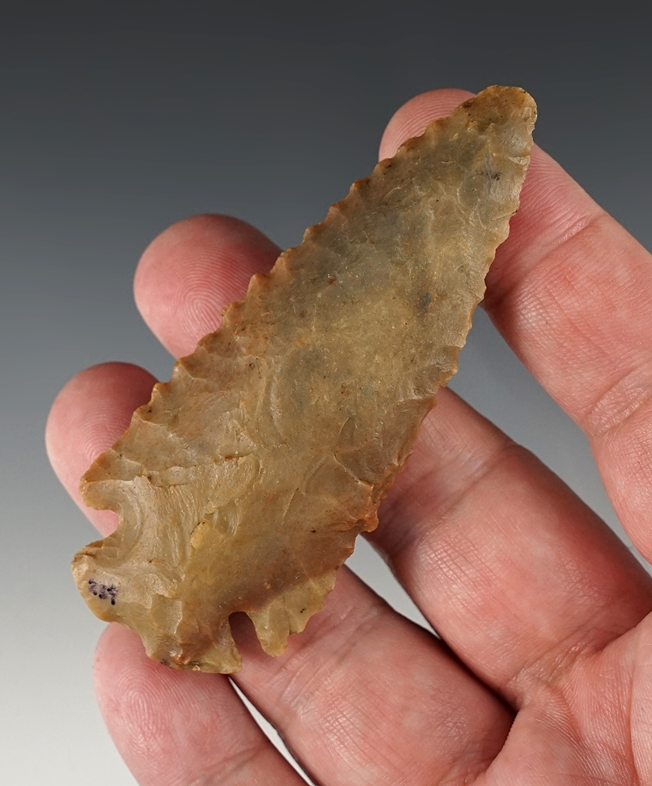 3 3/16" colorful Carter Cave Dovetail found in Mason Co., Kentucky.