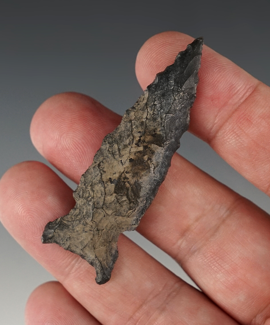 Nice 2 3/8" Side Notched point found in Oregon.