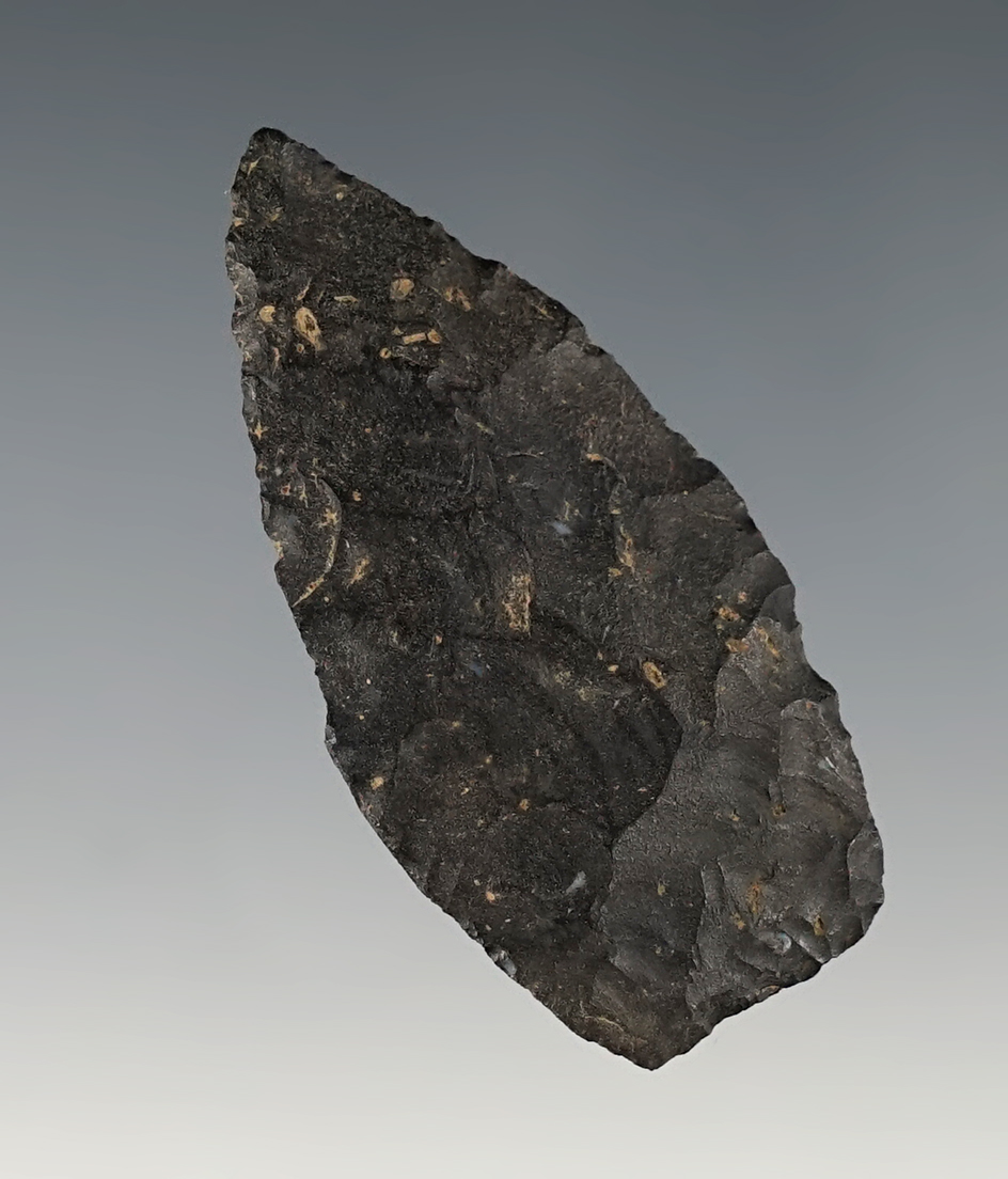 Nice 2" Paleo Lanceolate found in Ohio. Light ancient grinding to the lower blade edges.