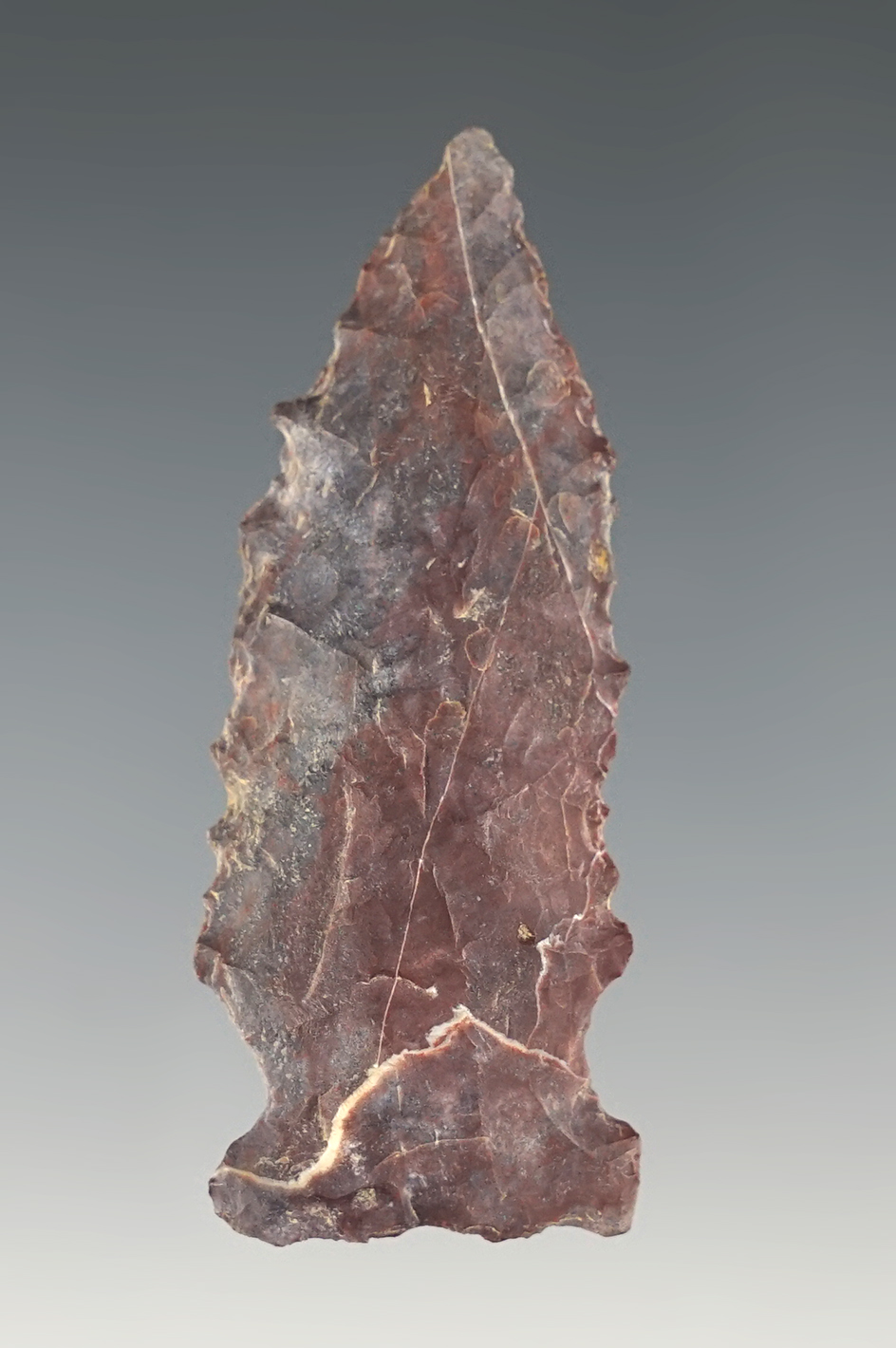 2 1/4" Side Notch point made from Coshocton flint found in Ohio.