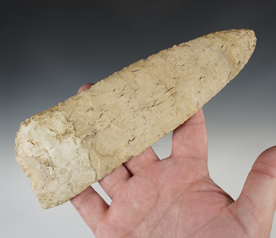 Massive 7 13/16" Blade with restoration to the basal area. Found in the Midwestern U.S.