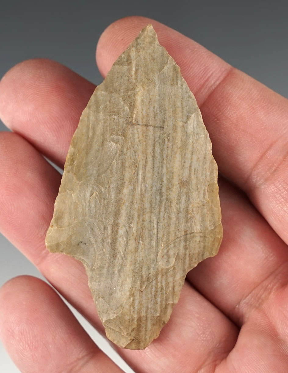 2 3/4" Adena point made from nicely banded flint found in the Midwestern U.S.