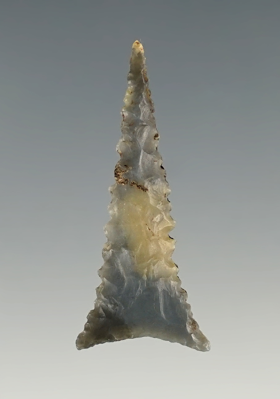Superbly made 1 3/8" Hamilton Triangle point - finely serrated - high grade flint.  Kentucky.