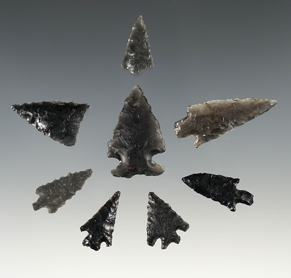 Set of 8 assorted points found in Lake Co., Oregon. The largest is 1 3/8".
