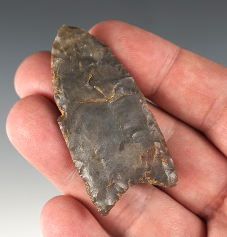 2 1/4" Fluted Paleo Redstone with modern retouch to the tip. Found in Kentucky.