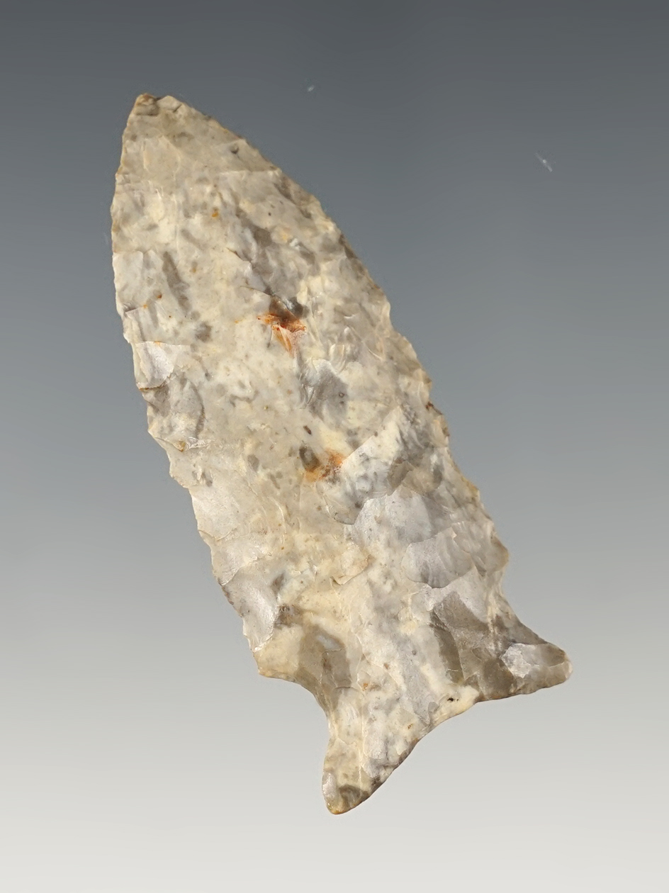 Nice 2 1/2" Archaic point found in the Midwest. Excellent grinding to the base and notches.