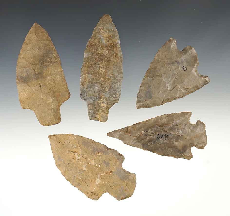 Set of 5 points found in the Midwestern U.S. The largest is 3 1/8".