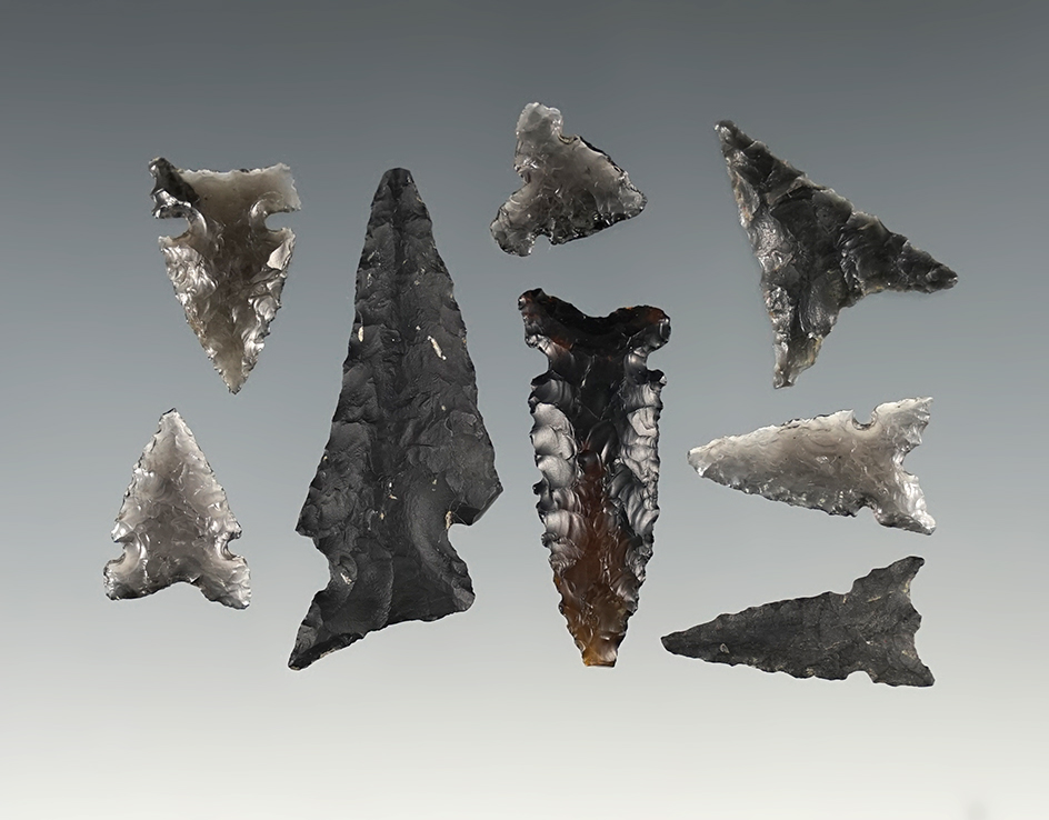 Set of 8 assorted points found in Oregon. The largest is 1 11/16".