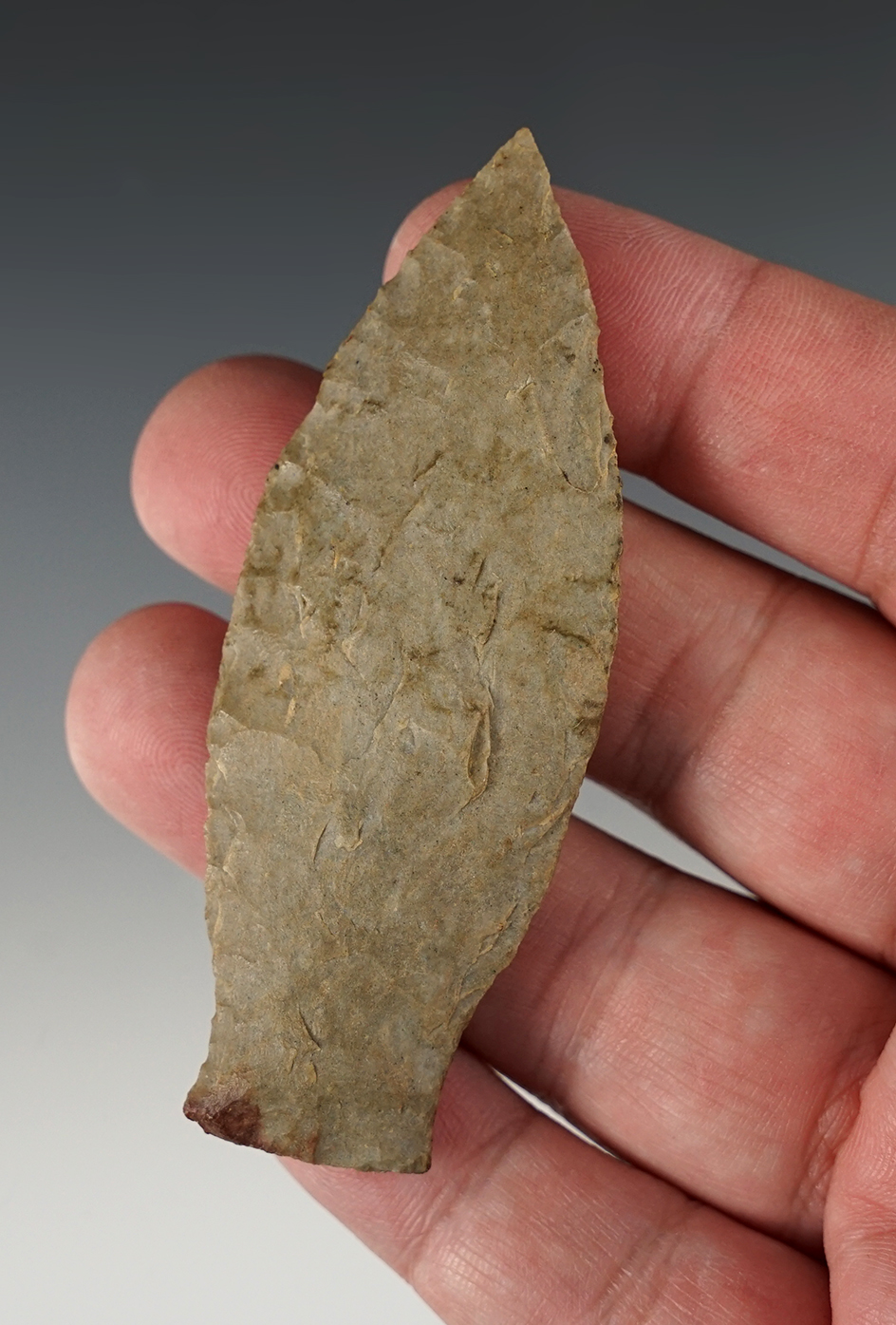 3 1/8" Classic Copena found in Central Kentucky.