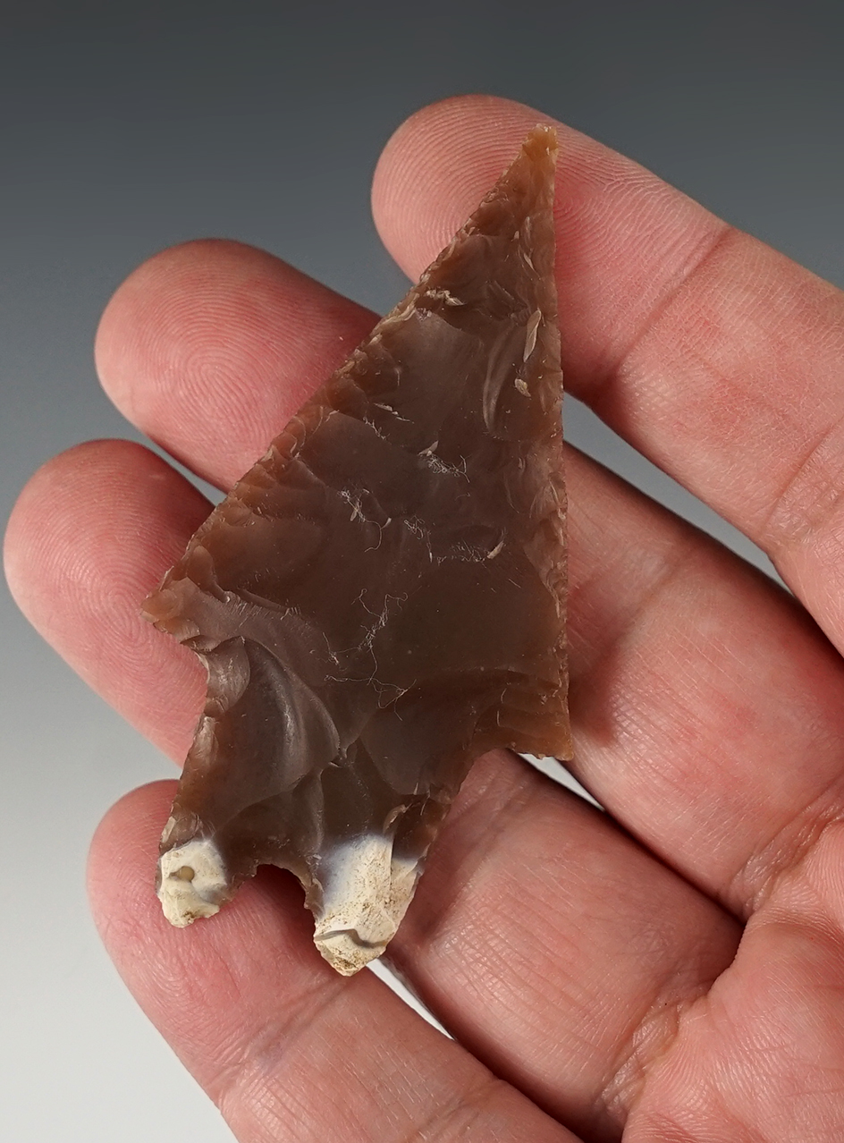 2 3/4" Pedernales that is nicely made from Root Beer flint. Ex. Bill Arnold. Rogers COA.