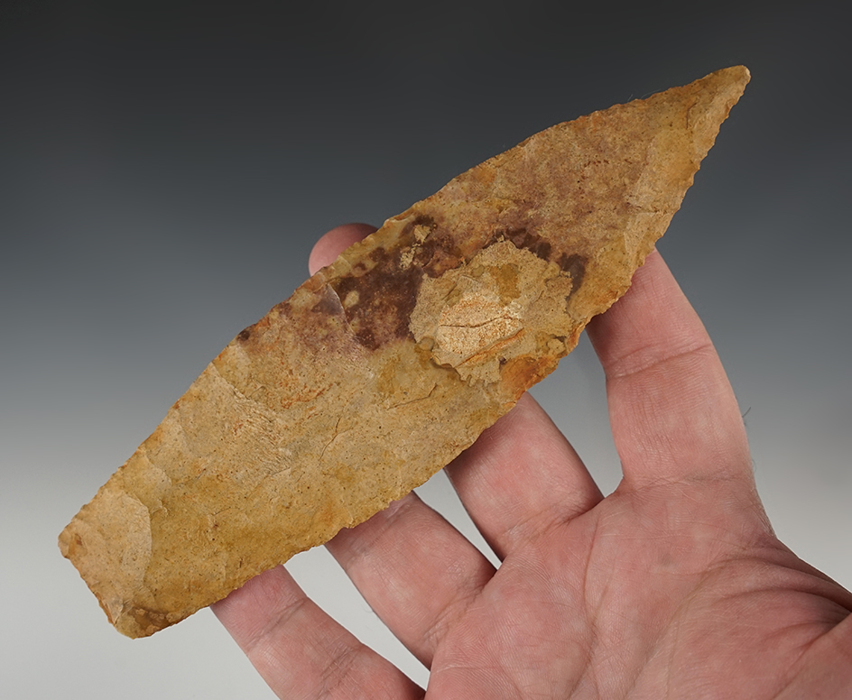 Superb 6 1/2" Morse Knife found in Tennessee. Thin for the size and well made.