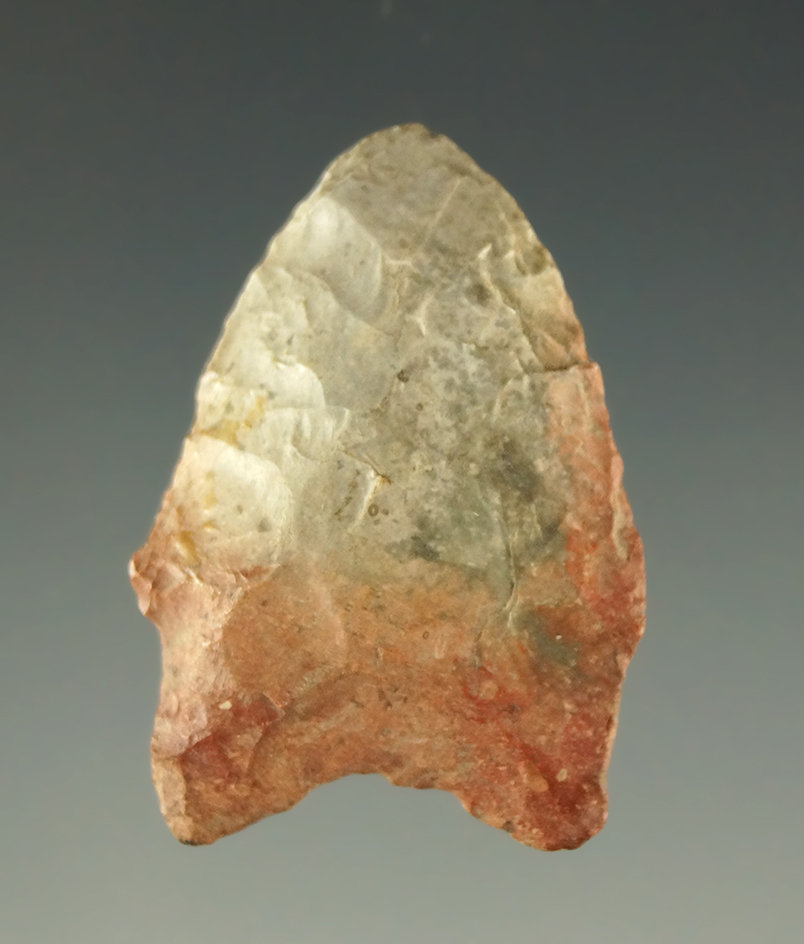 1 3/16" early archaic dart point found in Missouri made from colorful material. Bennett COA.