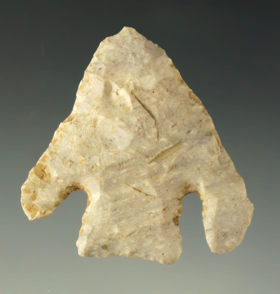 1 15/16" Calf Creek found in Missouri. It is hard to find these with the ears remaining!