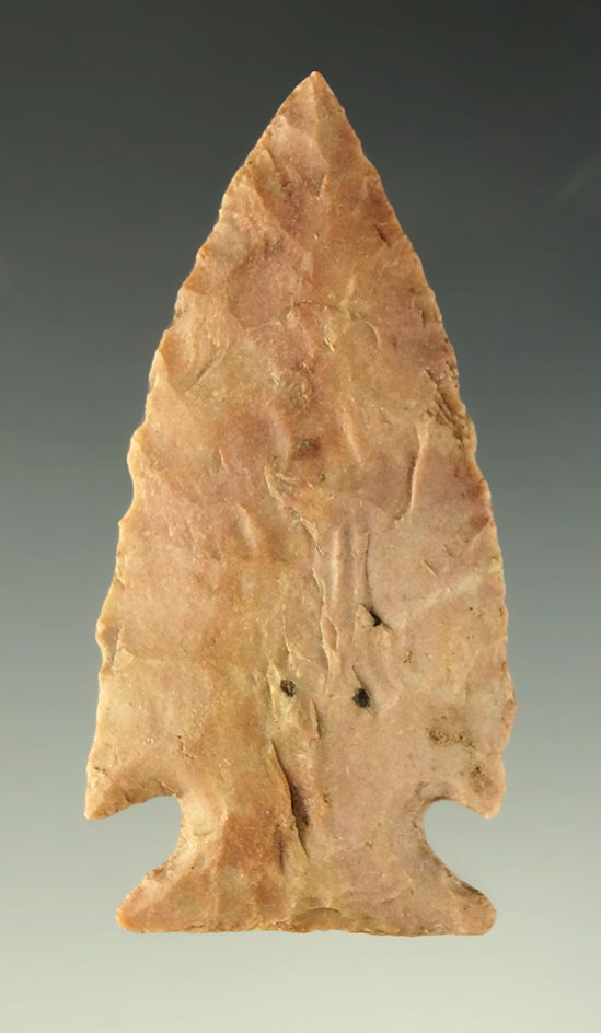 Ex. Museum! Thin and well styled 2 9/16" Ensor point found in Texas. Ex. Wallace Culpepper.