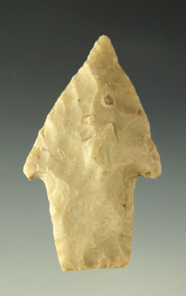 Ex. Museum! 2 3/16" Bulverde point found in Texas. Ex. Wallace Culpepper, James Ferrell.