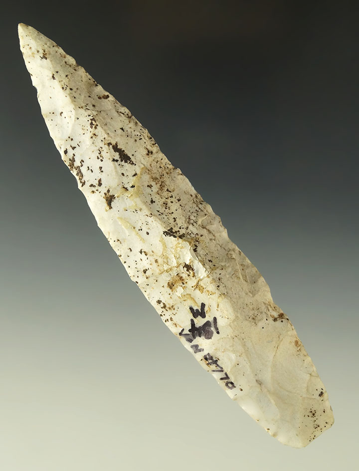 5 3/8" Sedalia - heavy mineral deposits on surface-Burlington chert.  IL/MO area.  Dickey COA.