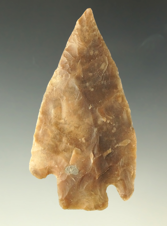 Ex. Museum! 3" Castroville point made from nicely patinated material found in Texas.