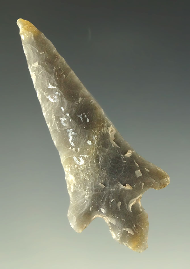 Ex. Museum! 1 15/16" well shaped and large Hayes point-semi translucent Novaculite - Texas.