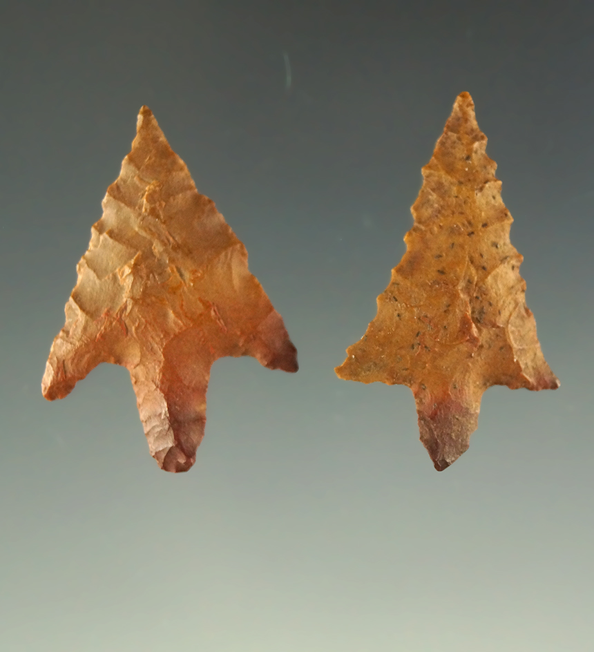 Ex. Museum - Pictured! 2 well styled Perdiz points - Texas. Pictured in the Overstreet 15th ed.