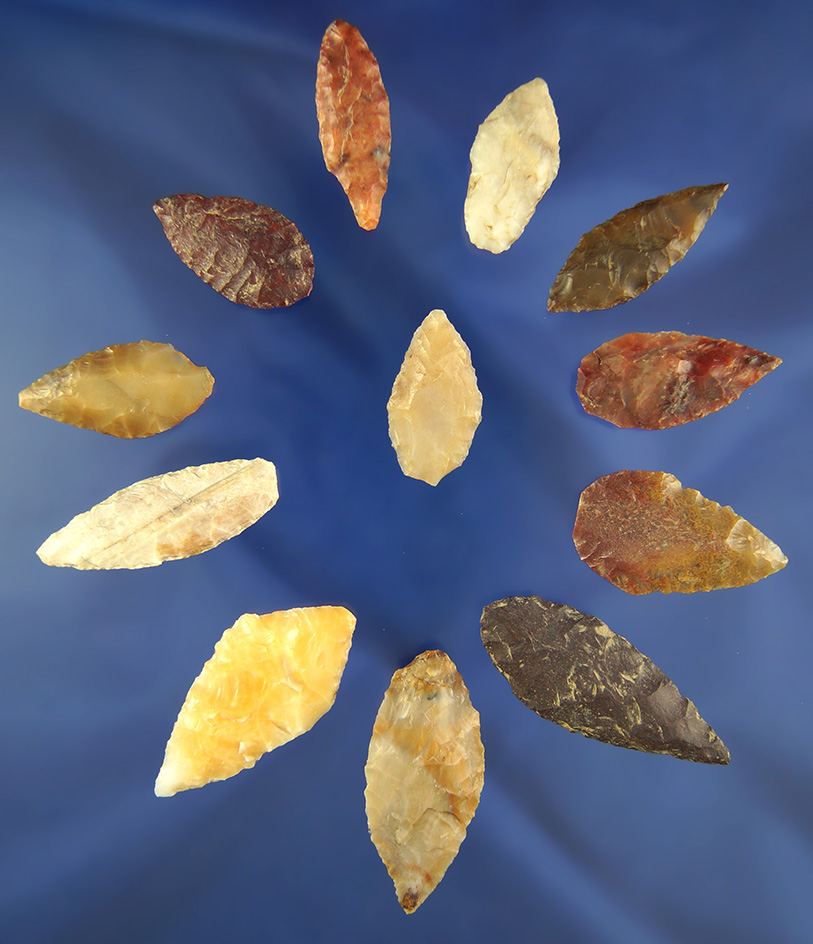 Set of 12 assorted Columbia River Leaf Points, largest is 1 5/8".