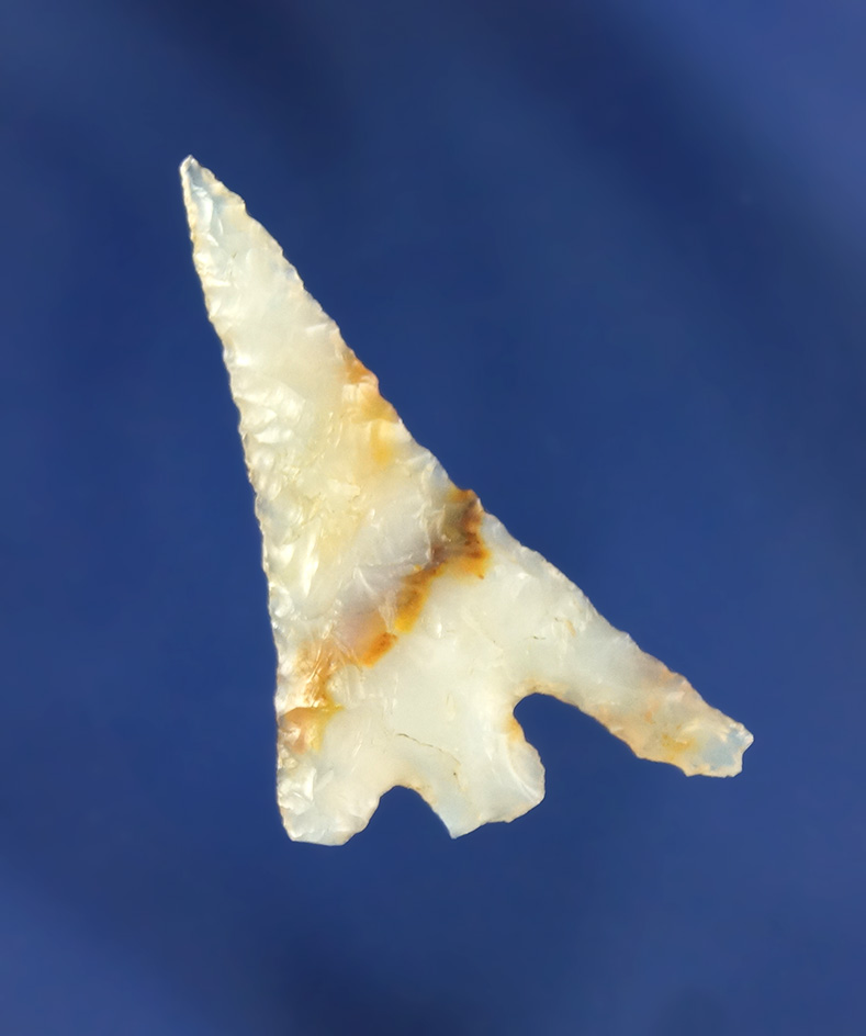 1 3/8" Columbia Plateau with a nice swept wing - beautiful multicolored - agate. -Columbia River.