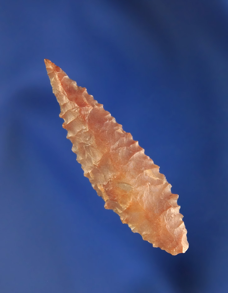Excellent serrations on this 1 11/16" Leaf Point found near the Columbia River, Oregon.