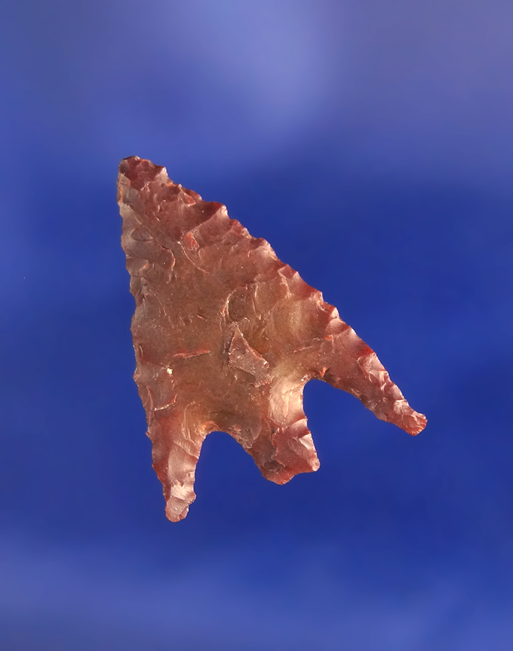 1" brown Jasper Gunther in excellent condition found in Oregon.