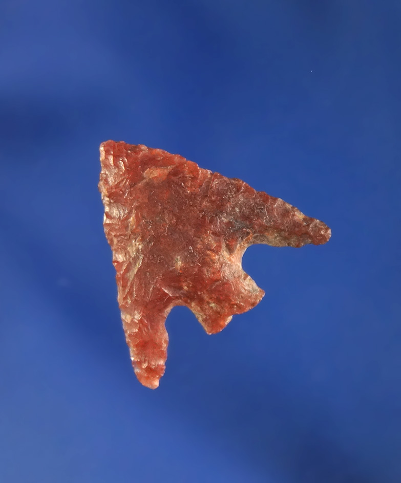 11/16" nicely flaked Columbia Plateau found in Oregon.